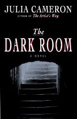 The Dark Room: Book Cover