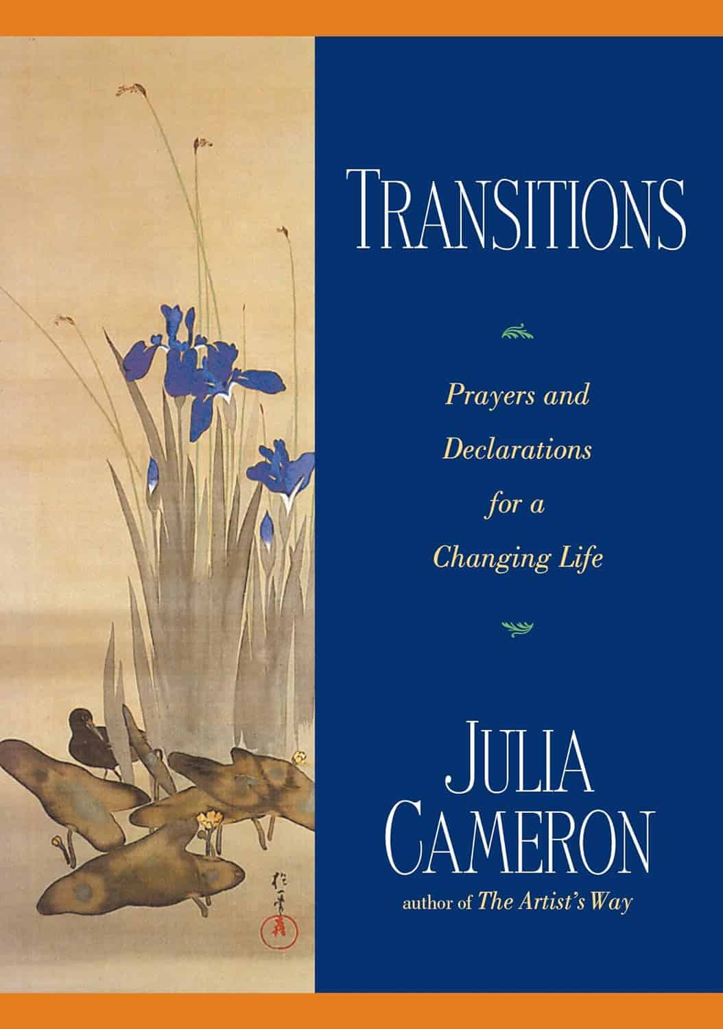 Transitions: Book Cover