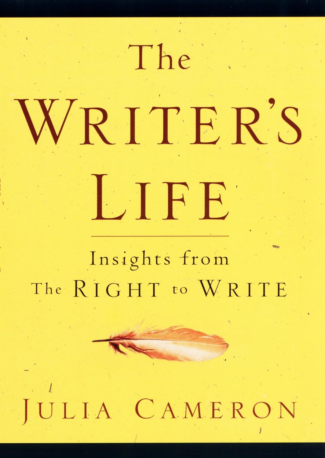 The Writer's Life: Book Cover