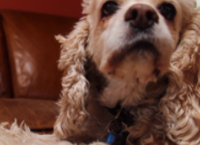 The Artist's Way: Week 1